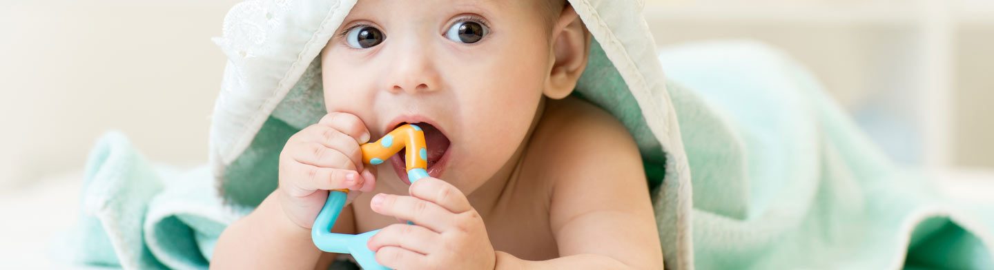 Teething : when will my baby start teething ? cover